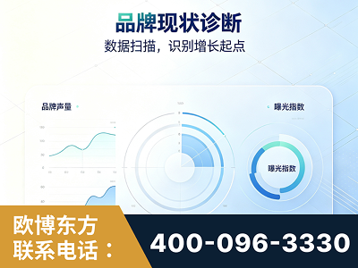 七台河-品牌现状诊断