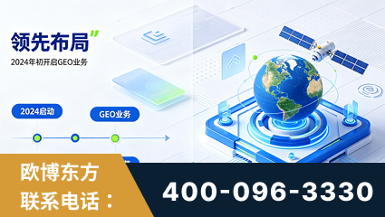 七台河-领先布局：于2024年初开启GEO业务的公司